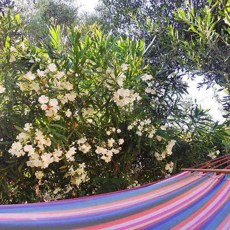 Lejlighed Tetraktys Estate Beachside Seaview υδωρ With Big Garden