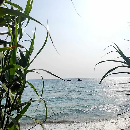 Lejlighed Tetraktys Estate Beachside Seaview υδωρ With Big Garden *