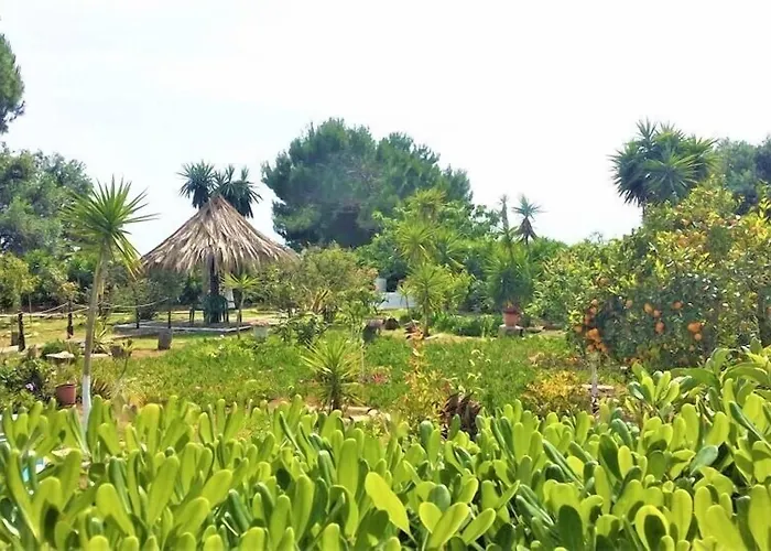 Apartamento Tetraktys Estate Beachside Seaview υδωρ With Big Garden *