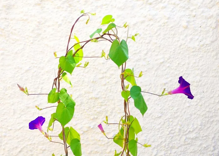 Tetraktys Estate Beachside Seaview υδωρ With Big Garden Apartament Halikounas