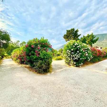 Lägenhet Tetraktys Estate Beachside Seaview υδωρ With Big Garden *