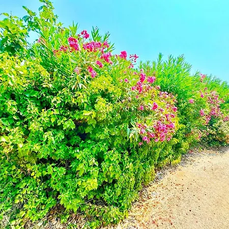 Tetraktys Estate Beachside υδωρ Apartment *