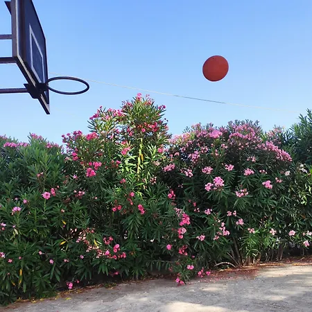 Апартаменты Tetraktys Estate Beachside Seaview υδωρ With Big Garden