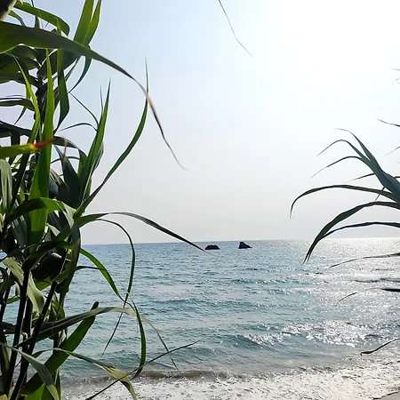Tetraktys Estate Beachside Seaview υδωρ With Big Garden Апартаменты Halikounas