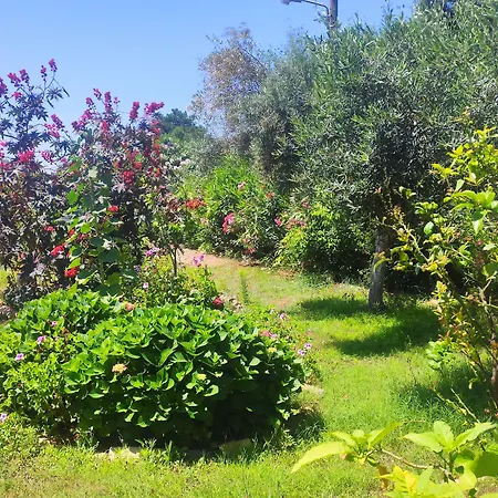 Tetraktys Estate Beachside Seaview υδωρ With Big Garden * Halikounas