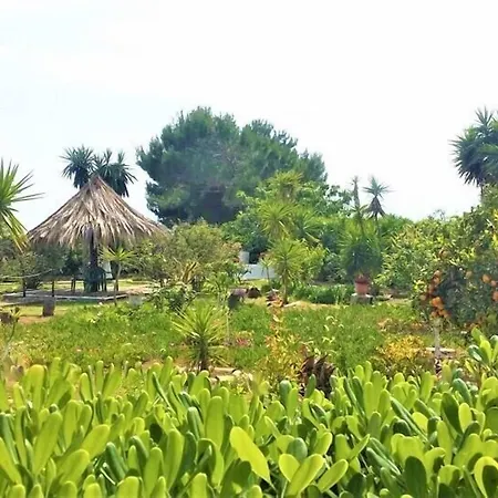 Апартаменты Tetraktys Estate Beachside Seaview υδωρ With Big Garden *