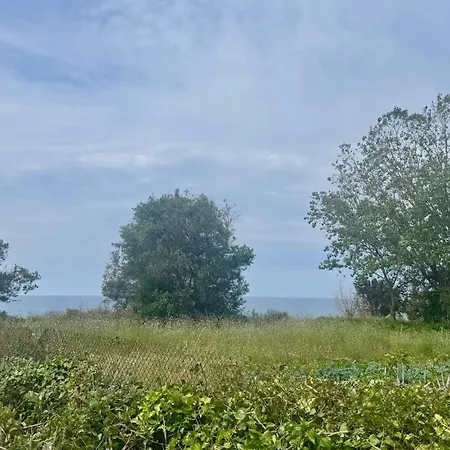 Tetraktys Estate Beachside Seaview υδωρ With Big Garden Апартаменты Halikounas