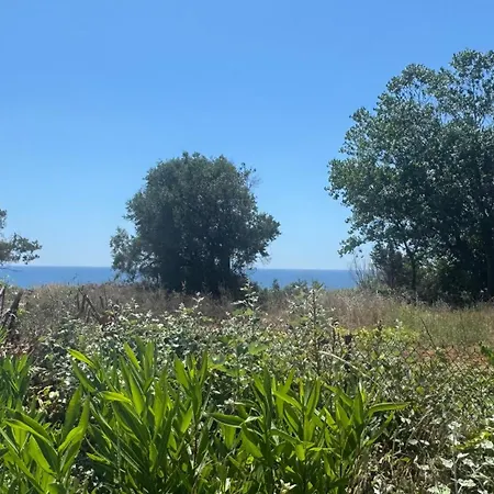 Tetraktys Estate Beachside Seaview υδωρ With Big Garden