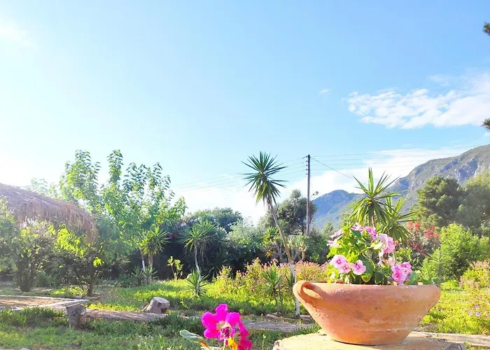 Tetraktys Estate Seaview Beachside υδωρ With Big Garden Χαλικούνας