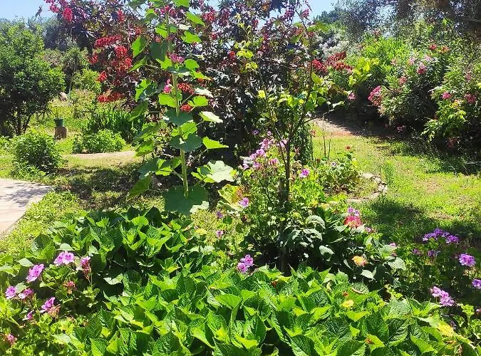 Apartament Tetraktys Estate Beachside Seaview υδωρ With Big Garden *