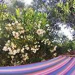 Apartamento Tetraktys Estate Beachside Seaview υδωρ With Big Garden