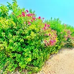 Tetraktys Estate Beachside Seaview υδωρ With Big Garden Apartamento *