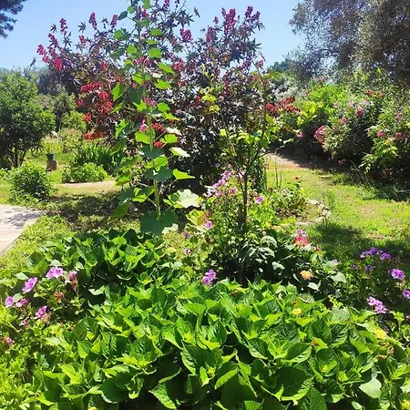 Appartamento Tetraktys Estate Beachside Seaview υδωρ With Big Garden *