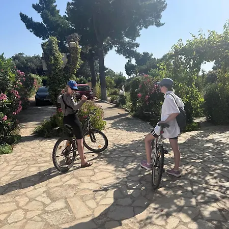 Tetraktys Estate Beachside Seaview υδωρ With Big Garden Lägenhet