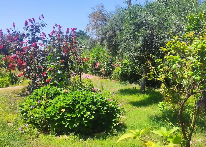 Tetraktys Estate Beachside Seaview υδωρ With Big Garden * Halikounas